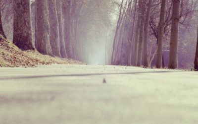 How To Surrender To Life’s Own Path