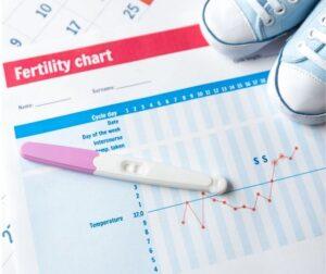 Natural Fertility for the Over 40's: The Facts