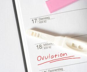 Natural Fertility for the Over 40's: The Facts